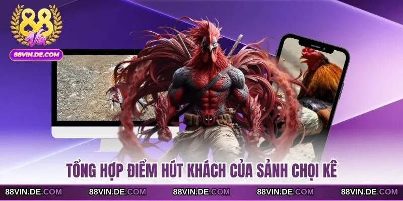 Tổng hợp điểm hút khách của sảnh chọi kê