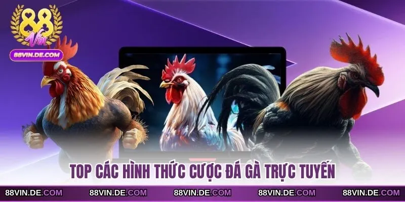 Top các hình thức cược đá gà trực tuyến